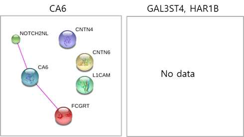 CCR7+CD8+T관련 유전자와 interaction하는 단백질