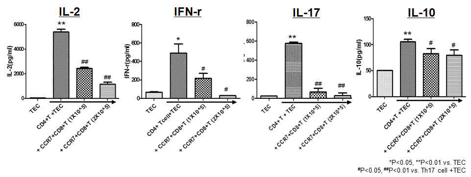 HPRTEpiC과 CD4+T공조배양 조건에서의 CCR7+CD8+T세포의 면역조절효과 확인 (ELISA결과)