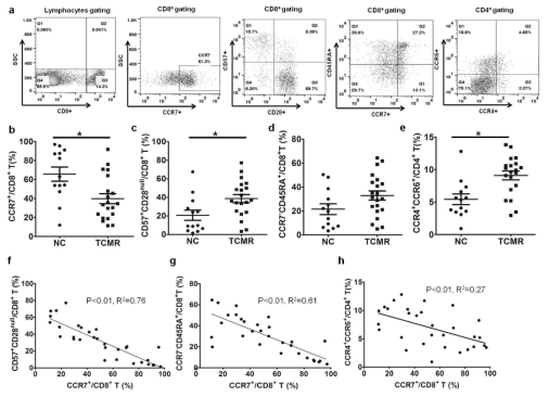 1단계 flowcytometry 결과