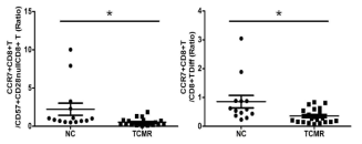 CCR7+CD8+ T/ CD57+CD28nullCD8+ T (좌측) 와 CCR7+CD8+T/CCR7-CD45RACD8+T (우측)