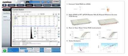 Luminex 및 ELISA방법을 이용한 HLA-DSA, Non-HLA 항체 측정