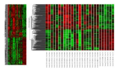 ToL 특이 전사체의 clustering