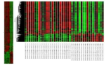 CAD 특이 전사체의 clustering