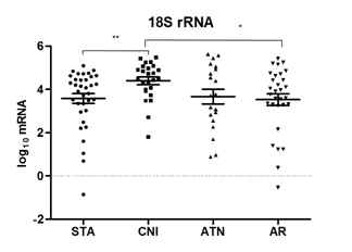 실험군간 소변 18S rRNA 전사체 발현 비교