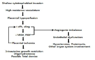 혈관형성인자들의 불균형으로 인한 임신중독증유발