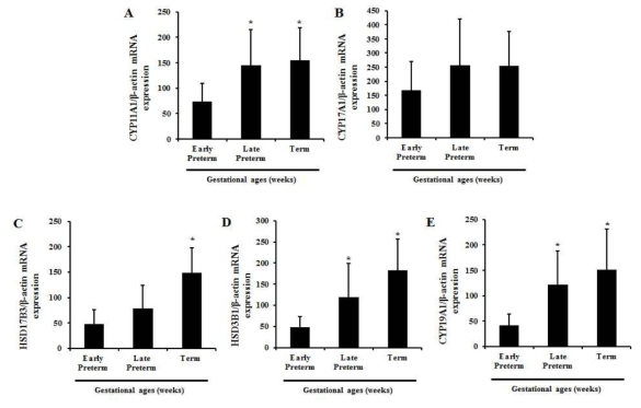 정상임산부의 주기별 태반에서 스테로이드 호르몬 대사관련 효소의 mRNA 발현 (A) CYP11A1, (B) CYP17A1, (C) HSD17B3, (D) HSD3B1, (D) CYP19A1