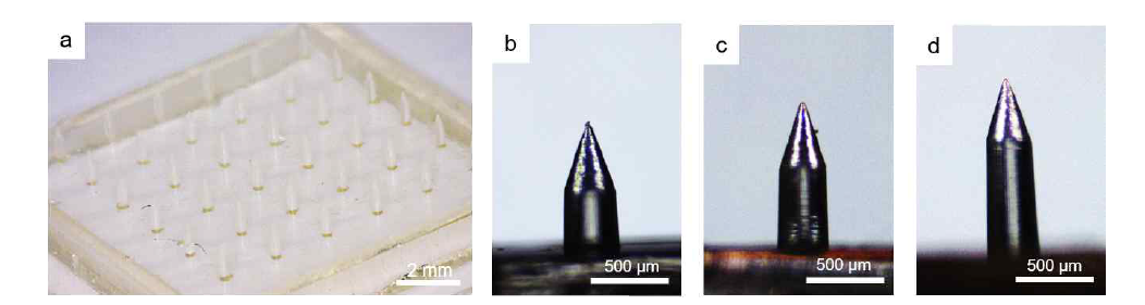 (a) 제작된 PLGA 마이크로니들 패치 사진과 (b-d) 높이 750 μm, 900 μm, 1050 μm를 가지는 마이크로니들