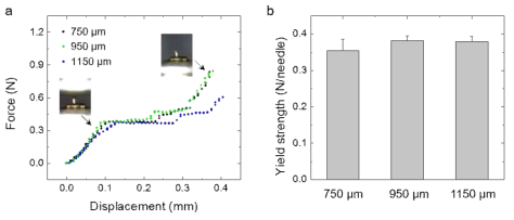 (a) 마이크로니들 팁의 기계적 강도를 나타내는 force-displacement 그래프와 (b) 마이크로니들 팁의 길이에 따른 기계적 강도