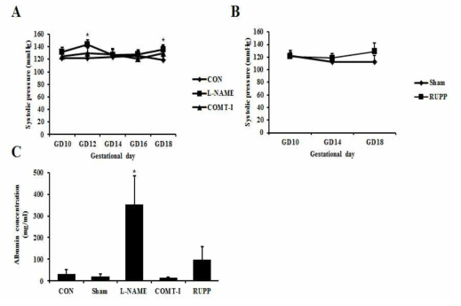 임신중독증 동물모델의 혈압과 단백뇨 분석 (A) L-NAME 모델과 COMT-I 모델의 혈압 (B) RUPP 모델의 혈압 (C) 알부민 농도