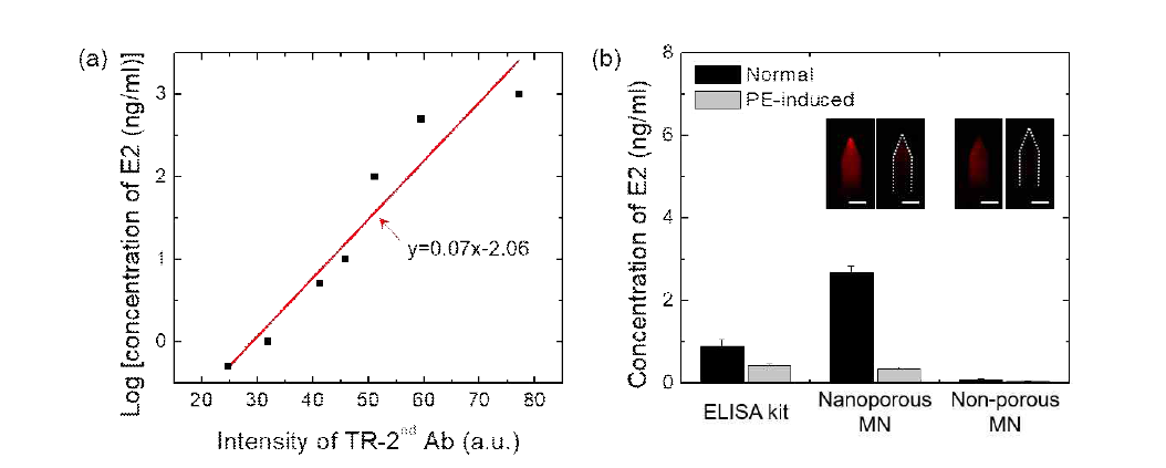 (a) 나노다공성 마이크로니들을 사용하여 작성한 TR-2nd Ab의 형광 세기에 따른 E2 농도에 대한 검량선 그래프. (b) ELISA kit, 나노다공성 마이크로니들, 비다공성 마이크로니들을 사용하여 정상 랫트와 임신중독증이 유도된 랫트의 혈액 샘플에서 검출한 E2의 농도 확인 그래프. Scale bar: 200 μm