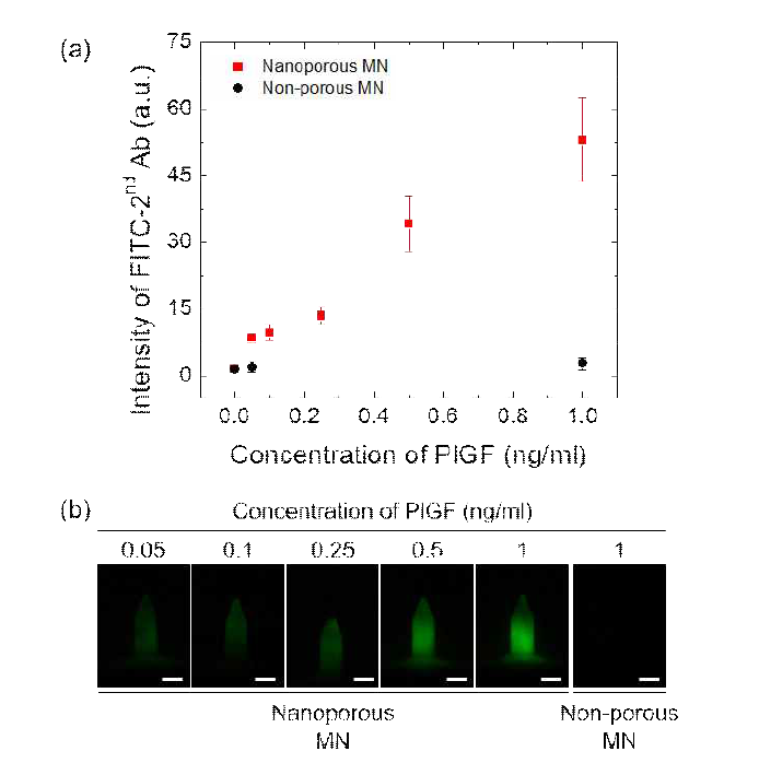 (a) PlGF의 농도에 따른 FITC-2nd Ab의 형광 세기 확인 및 (b) 형광 현미경을 통해 확인된 마이크로니들의 형광 이미지. Scale bar: 200 μm