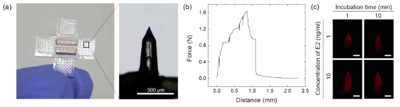 (a) 조직접착을 위한 부푸는 마이크로니들 패치와 마커호르몬 캡처가 가능한 나노다공성 마이크로니들 패치가 결합된 진단 패치, (b) 부푸는 마이크로니들 패치의 접착 강도 (100 MN/1cm2), (c) E2의 농도와 incubation time에 따른 마이크로니들 표면의 TR-2nd Ab 형광 이미지. Scale bar: 200 μm