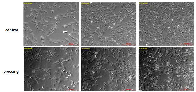 Live cell imaging