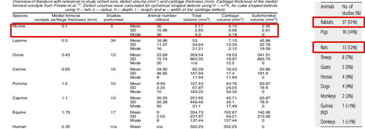연골손상 모델 확립 자료 검토