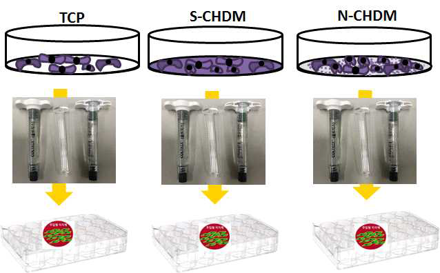 각 배양기저에서 배양한 코중격 연골세포와 2%콜라겐 결합 3차원 구형 제작 모식도
