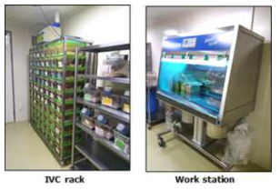 사육실에 설치된 IVC rack과 work station