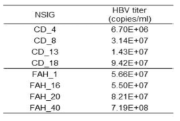 HBV titer 정량분석 결과