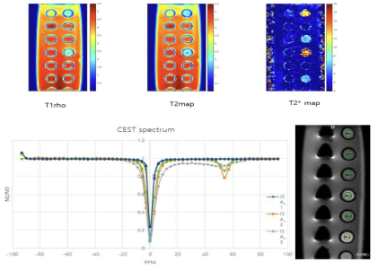 Chondroitin sulfate의 농도별 팬텀을 제작하여 T1rho, CEST, T2map을 얻어 정량화 가능 여부를 확인함 (9.4T Bruker)