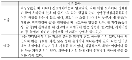 디지털 역량-소양 및 예방차원 수정 문항