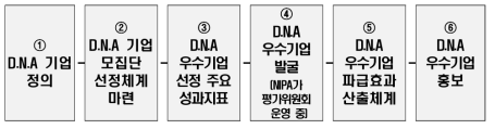 DNA 우수사례 성과분석 및 파급효과 연구 수행 흐름도