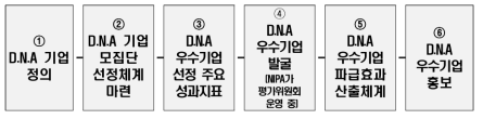 DNA 우수사례 성과분석 및 파급효과 연구 수행 흐름도