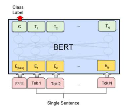 BERT Classification 예시