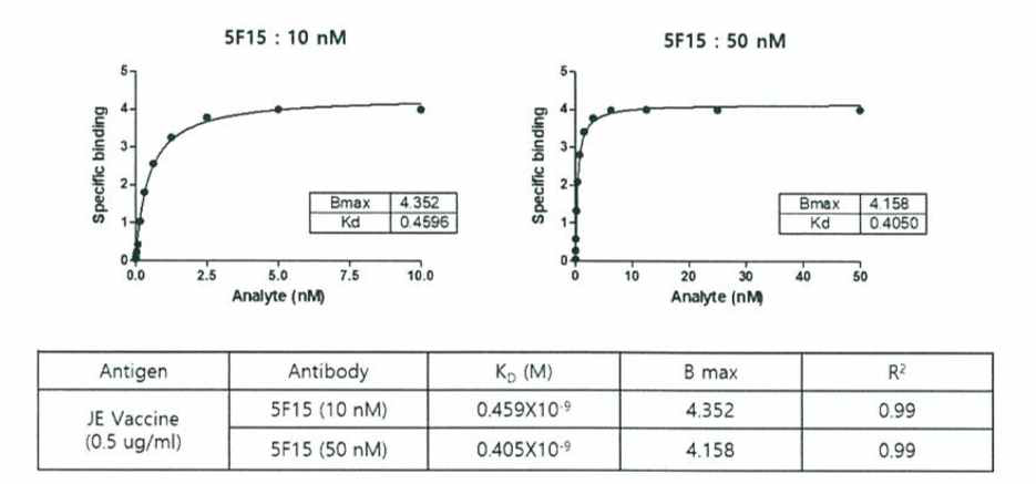 마우스항체 5F15와 항원과의 결합력 측정 결과