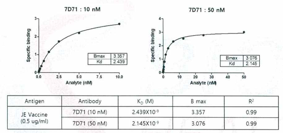 마우스항체 7D71과 항원과의 결합력 측정 결과