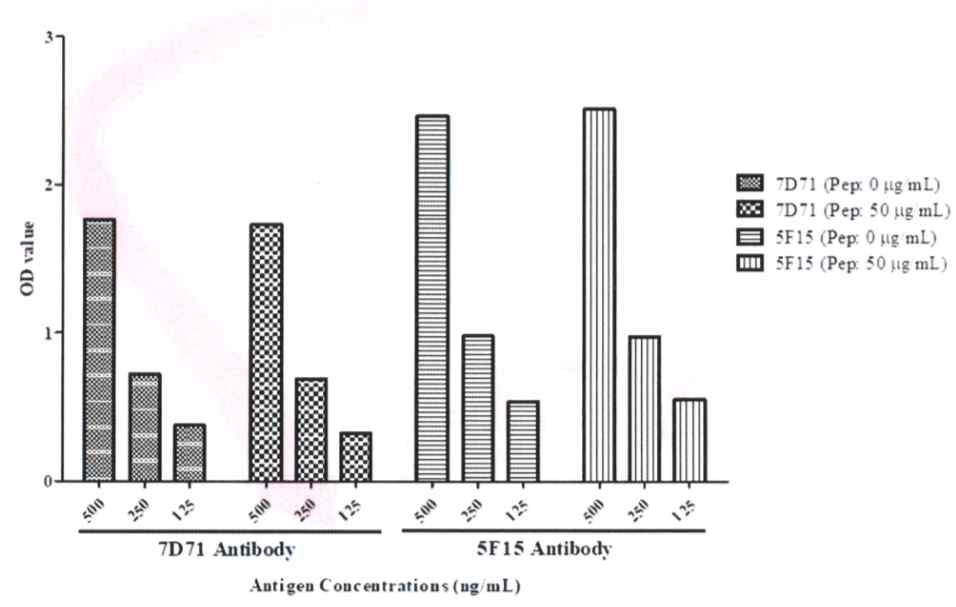 Peptide 유무에 따른 항원-항체 반응 결과(항원 농도 : 124, 250, 500 ng/㎖)