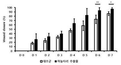 산림 생명자원에 의한 in vivo 조건에서의 wound closure 변화 대표도