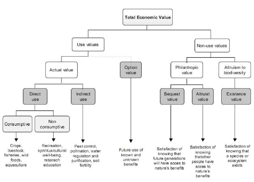 경제적 총가치(TEV) 접근법의 가치형태(TEEB, 2010)