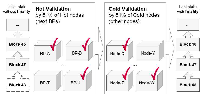 핫 노드와 콜드노드의 블록 검증 흐름