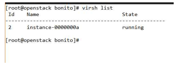 virsh 명령어를 통해 확인한 인스턴스