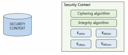 NRPDCP Security Database Structure [SW-5G-2020-L005]