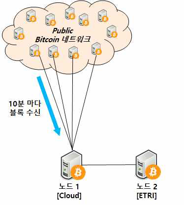 피어 간 블록 전파 단계별 지연 시간 측정 환경 구성도