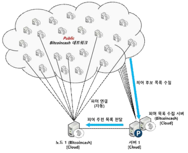 Bitcoin Cash 시험 환경 구성도