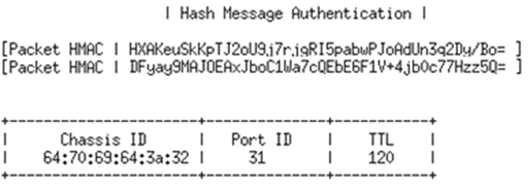 비정상 LLDP packet 수신시 packet 인증 log