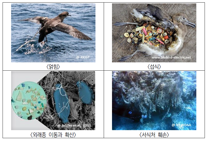 해양쓰레기 생태계 영향 유형
