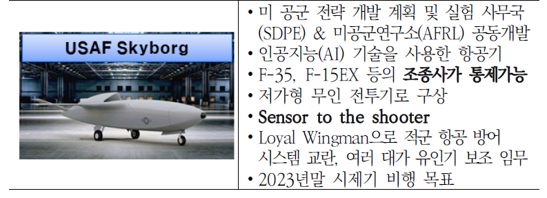 미국Skyborg의 개요