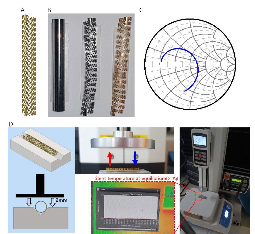 나선형 스텐트 안테나의 설계 및 특성 분석. (A) 3D CAD를 활용한 스텐트 설계. (B) Nitinol tube, 레이저 커팅 스텐트, 도금된 스텐트. 도금 후 지그에 고정하여 400도 이상으로 가열하여 스텐트의 형태를 기억시킨다. (C) HFSS를 통한 스텐트 안테나 특성을 분석한 스미스 차트. (D) 제작된 스텐트 안테나의 Radial force 측정