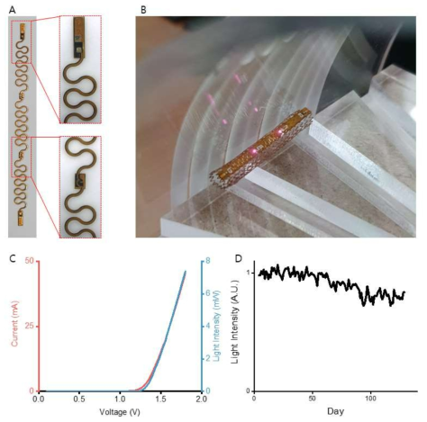 제작된 마이크로 LED 어레이. (A) 구불구불한 구조의 신축성 있고 유연한 회로 기판. (B) 무선전력전송을 통해 근적외선 자극을 시행중이 무선 발광 스텐트. (C) 사용된 근적외선 LED(LA NI14HP1, LIGHT AVENUE)의 특성 그래프. (D) 60도 생리 식염수 속에서 진행된 디바이스 수명 테스트