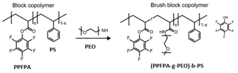브러시 형태의 블록 공중합체 합성 모식도