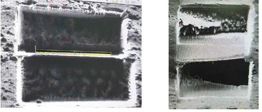 ~300nm thin cell lamella