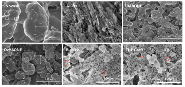 제품 별 SEM Image