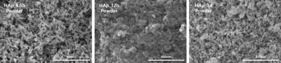 숙성 시간에 따른 분말의 SEM image