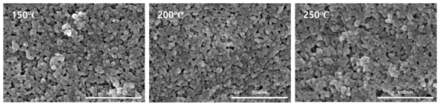 소결 온도에 따른 표면 SEM image