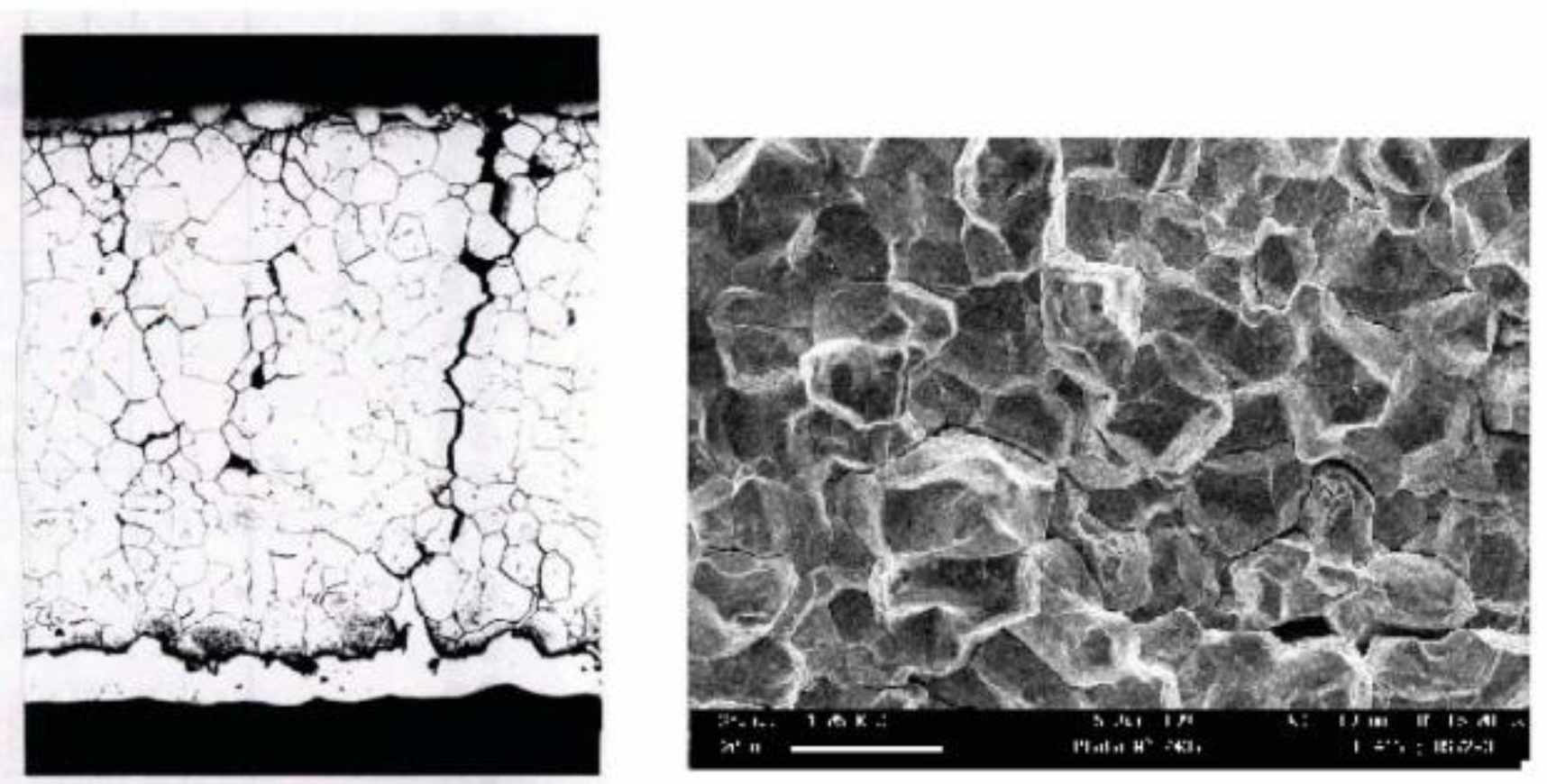 Stress corrosion cracking observed on a steam generator tube made of alloy 600