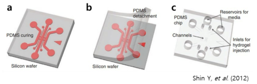 Soft lithography procedure