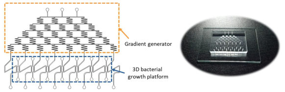 Schematic and real image of high-throughput AST chip
