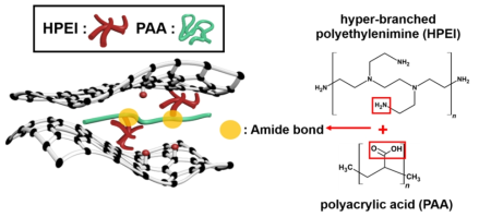 A scheme of cross-linked GO membrane with amide bond between HPEI and PAA polymers